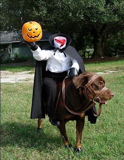 14 хэллоуинских костюмов для собак - 4. Всадник без головы