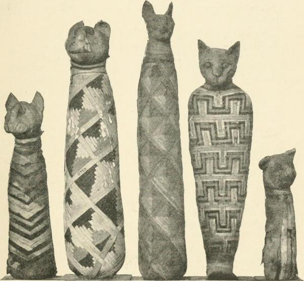 Египетские имена для кошек: египетские имена для кошек