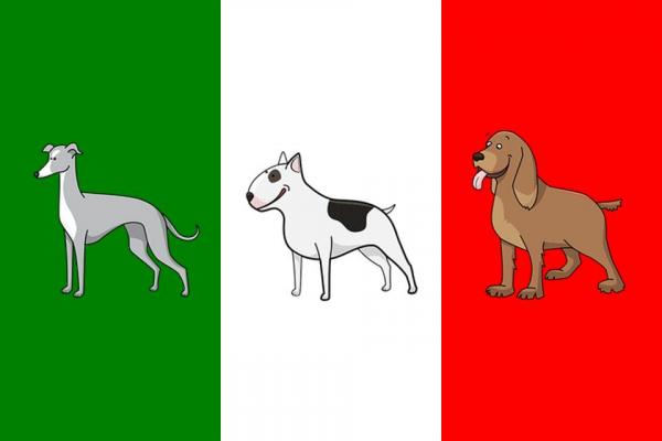Имена кобелей и суки итальянских собак