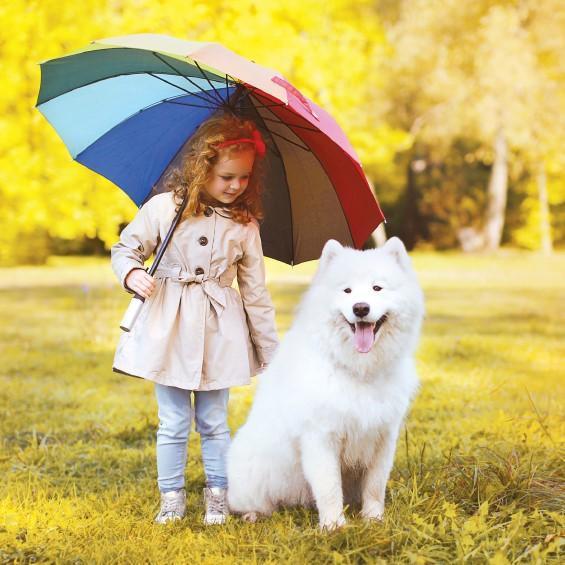 Прогулка с собакой под дождем