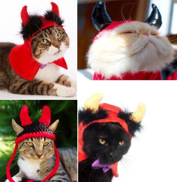 Симпатичные хэллоуинские костюмы для кошек: к черту кошку!
