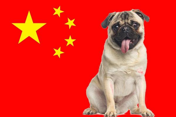 Список китайских пород собак