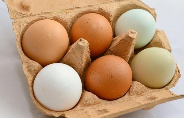 Уловки, чтобы сделать мех вашей собаки ярким - Подготовка собаки с яичным желтком