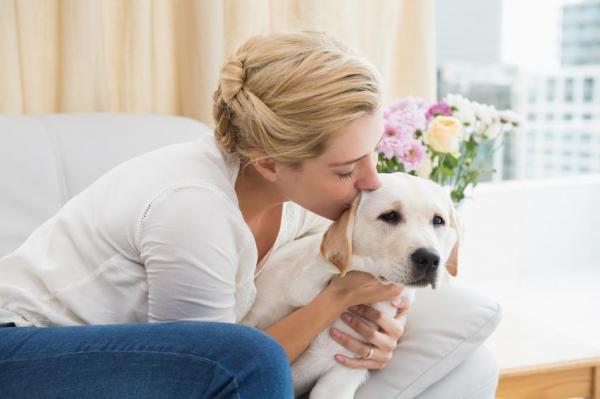 10 вещей, которые собаки ненавидят о людях - 6. Объятия и чрезмерные поцелуи