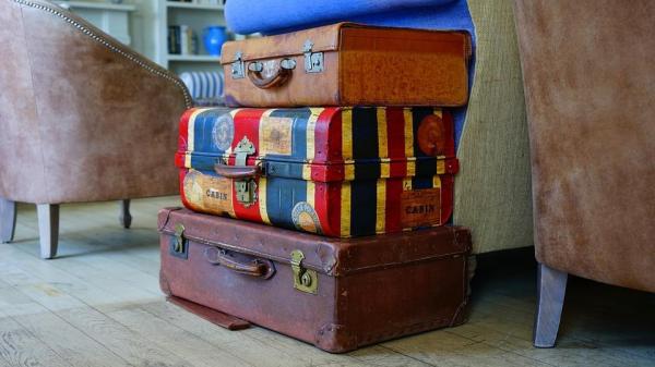 5 причин приютить кошку - 4. Кошки контролируют свои привычки питания