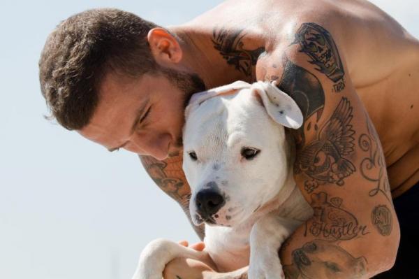 7 интересных фактов о Pit Bull - 1. У них самый сбалансированный характер большинства пород собак