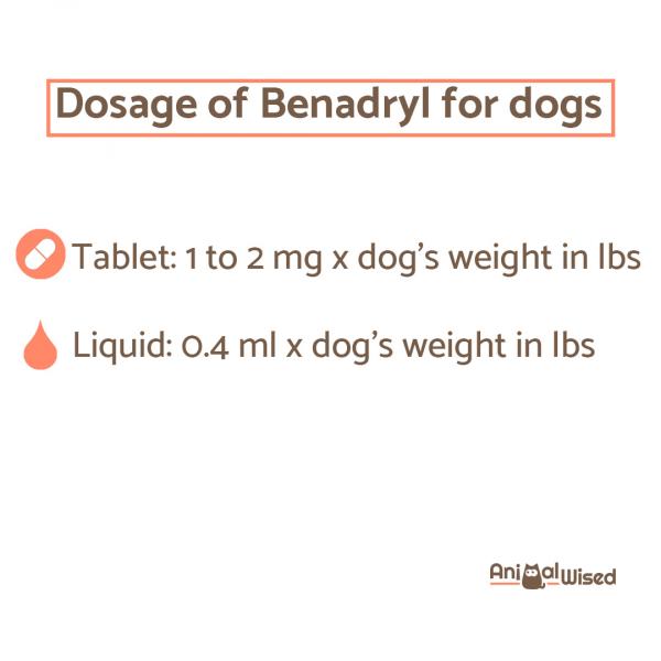 Бенадрил для собак: руководство по дозировке, побочные эффекты и советы: сколько бенадрила следует давать собаке?