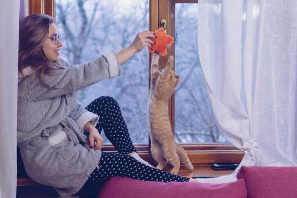 Любят ли кошки целоваться? - Любят ли кошки своих опекунов?