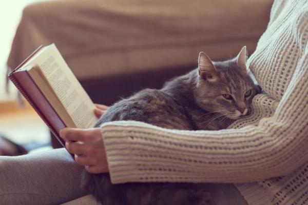 Любят ли кошки целоваться? - Как кошки проявляют свою любовь?