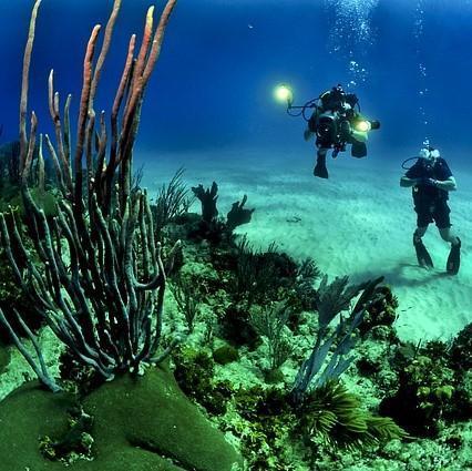 Морские доисторические животные