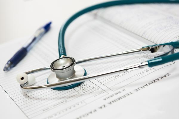 Уход за испанской борзой - ветеринарная помощь и специфические заболевания