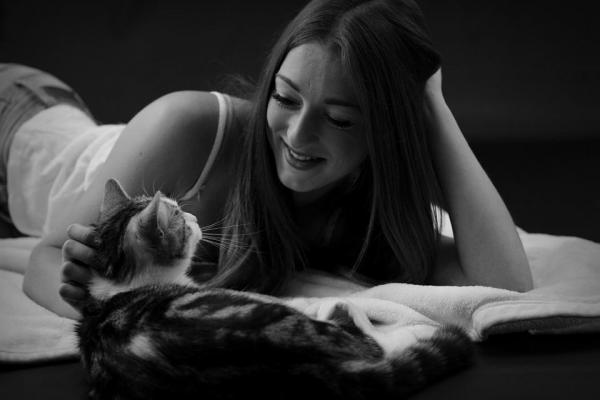 У кошек хорошая память? - У кошек хорошая память?