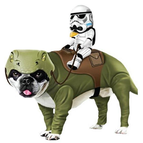 Лучшие костюмы Star Wars для собак