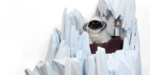 Лучшие костюмы Star Wars для собак - костюм Tauntaun для собак