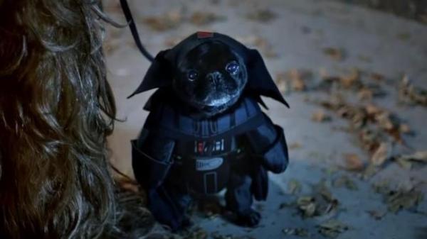 Лучшие костюмы Star Wars для собак - костюм Дарта Вейдера для собак