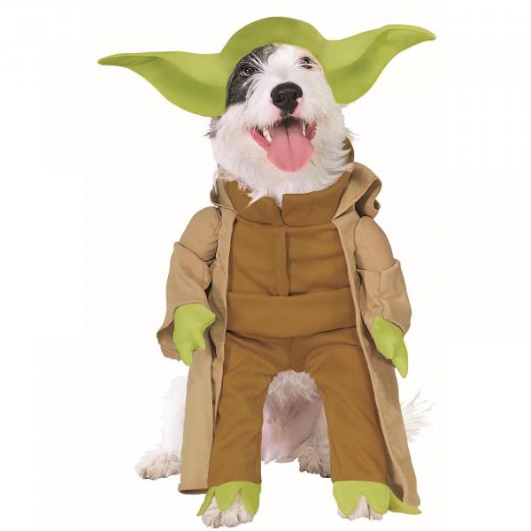 Лучшие костюмы для собак 