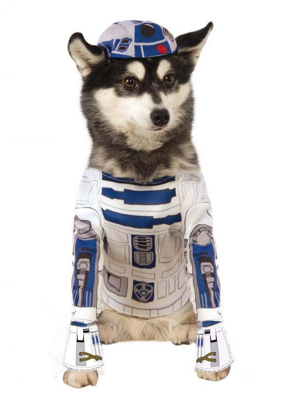 Лучшие костюмы Star Wars для собак - костюм R2-D2 для собак.