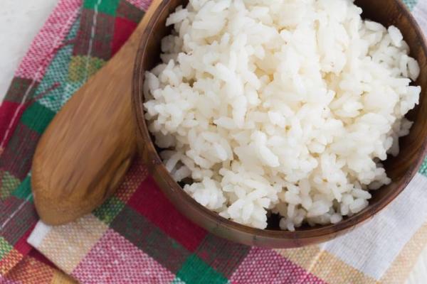 Могут ли кошки есть рис? - Разные рисовые продукты - Могут ли все кошки есть рис?