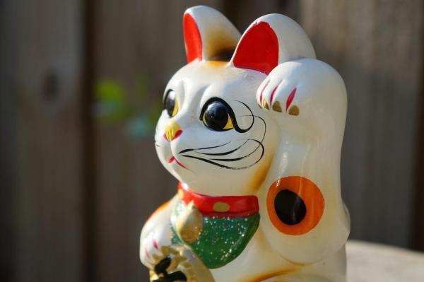 Могут ли кошки поглощать негативную энергию? - Являются ли кошки духовными защитниками?