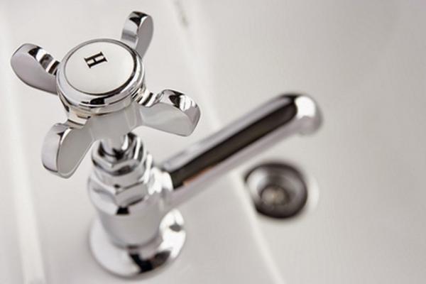 Вы можете купать новорожденных котят? - Как купать новорожденного котенка