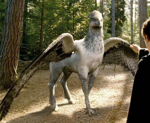 10 лучших животных в Гарри Поттере ��