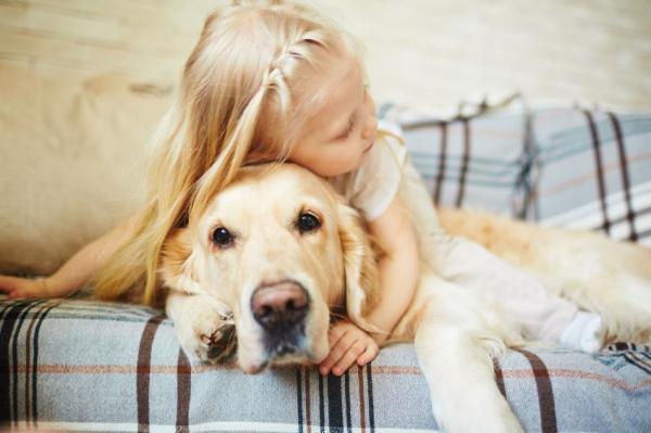 10 преимуществ иметь собаку: ваша собака станет лучшим другом ваших детей