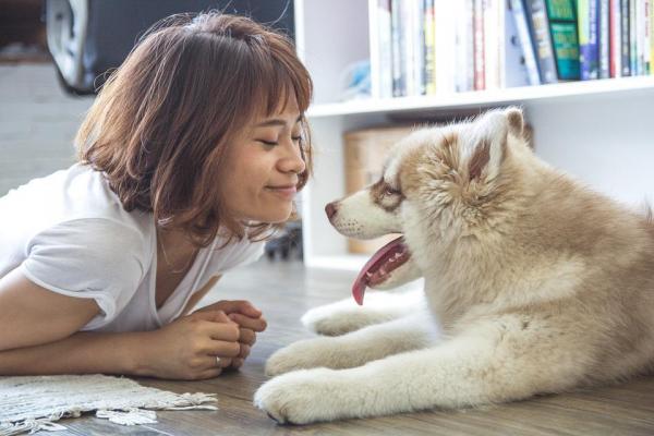 10 преимуществ иметь собаку: вы никогда не будете чувствовать себя одиноким