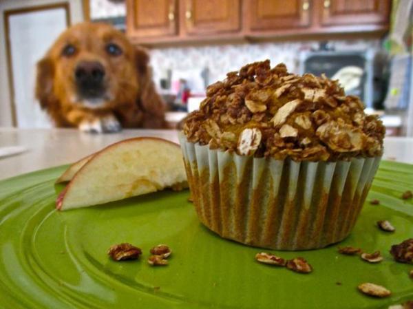 4 Рецепты кексов (Pupcakes) для собак - Кексы или кексы для собак - яблоко и овсянка