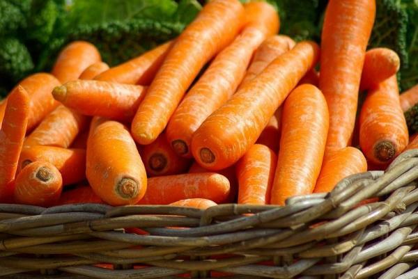 Какую человеческую пищу могут есть кошки? - Могут ли кошки есть овощи?