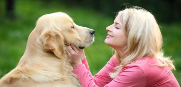 Массаж для ушей вашей собаки: пошаговое руководство для лучшего массажа собаки