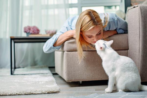 Почему мой кот пахнет моим лицом? - Почему мой кот пахнет моим носом?