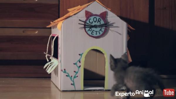 DIY Cat Toys - 4. Картонный домик для кошек