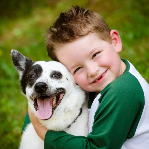 Научите ребенка ухаживать за домашним животным: рекомендации и советы