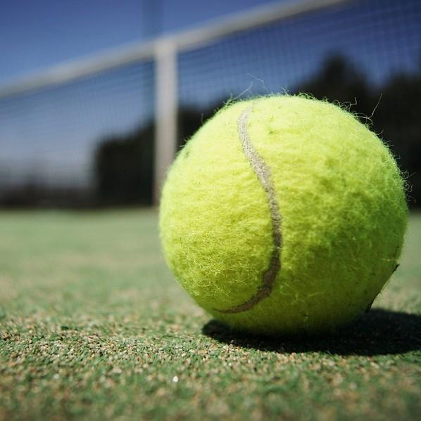 Теннисные мячи вредны для собак?