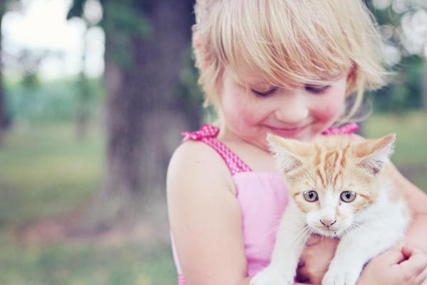 Уход за котятами - Регулярная ветеринарная помощь