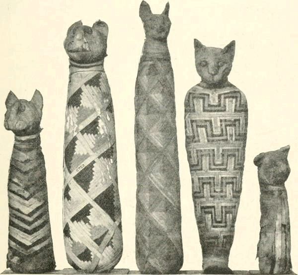 Египетские имена для кошек: египетские имена для кошек