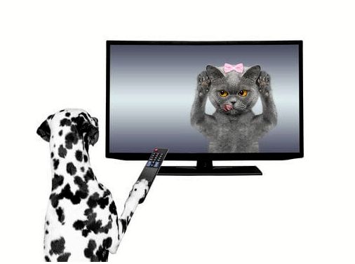 Животные в телевизионной рекламе