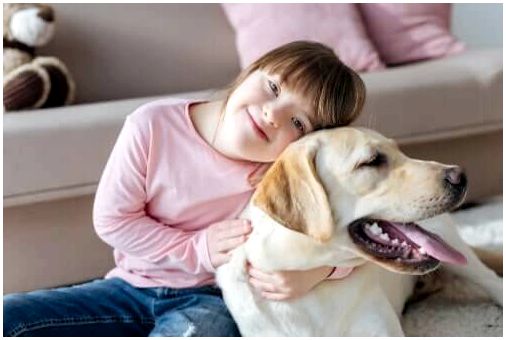 Генетические нарушения: могут ли собаки иметь синдром Дауна?