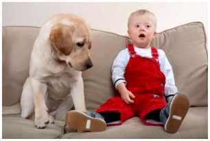 Мальчик и собака на диване.