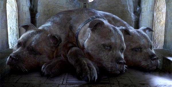 Топ 10 животных в Гарри Поттере �� - Пушистый: Трехголовая собака