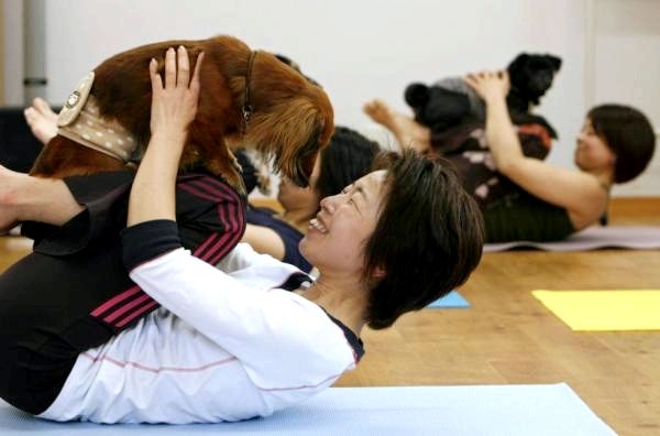 Йога для собак: что такое йога для собак?