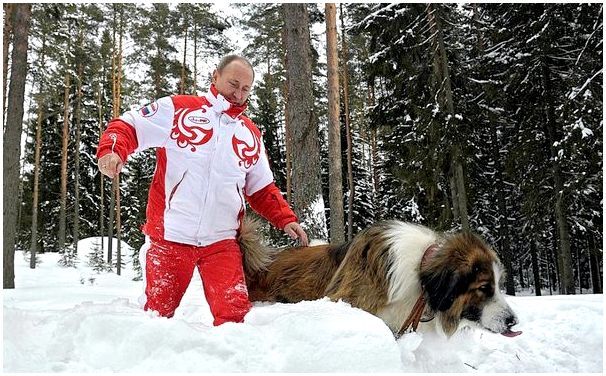 Путин его собака породы