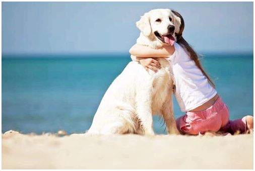 Девушка обнимает ее собаку на пляже.