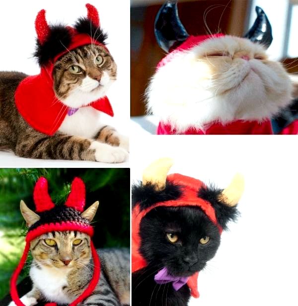 Симпатичные Костюмы Кошки Хэллоуина: К черту кошку!