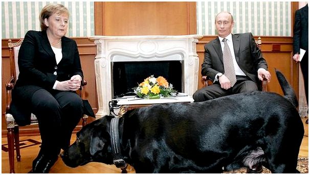 Любимая собака Путина