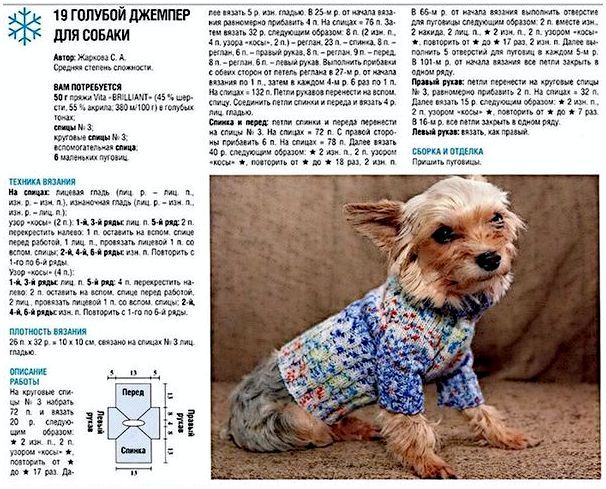 Идея вязаного свитера для собаки
