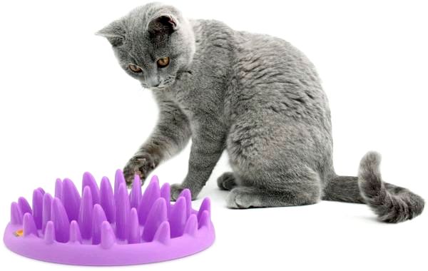 Игрушки для кошек и конфет - Интерактивная кормушка для животных