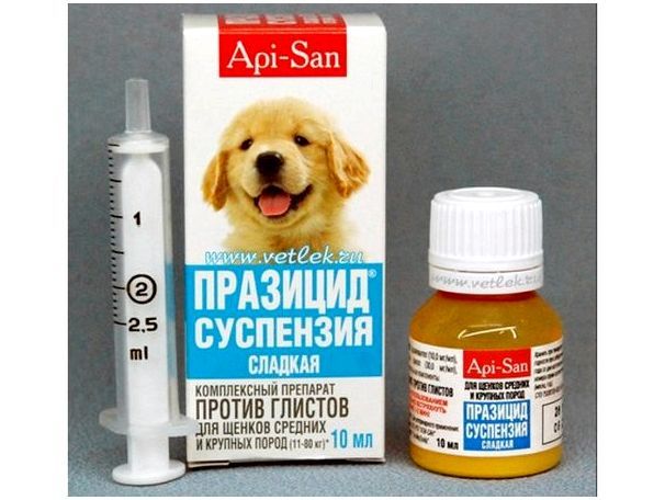 Лекарство от глистов для щенка