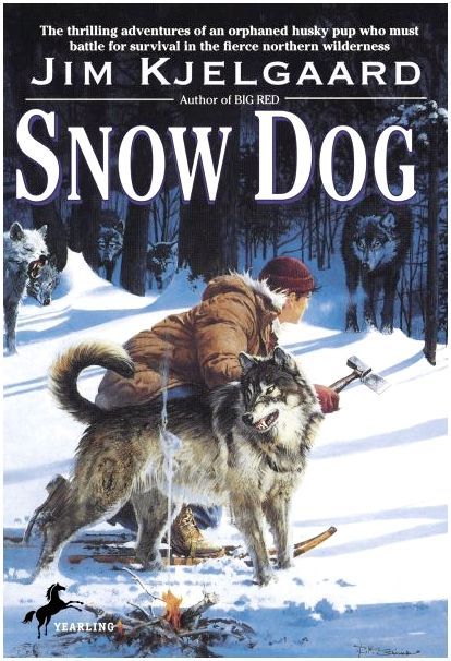 Обложка книги «Снежная собака»