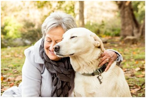 Пожилая женщина обнимает свою эмоциональную собаку
